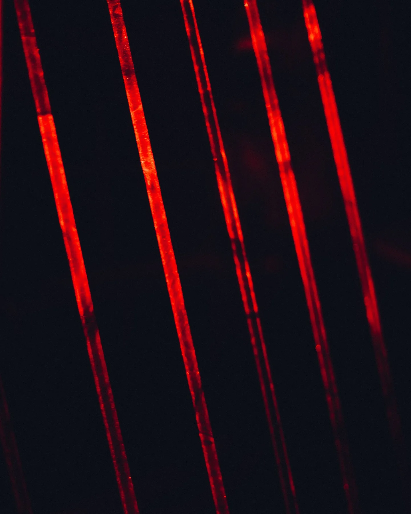 Red Room photo 12
